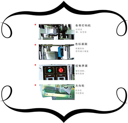 全自動(dòng)孜然粉包裝機(jī)